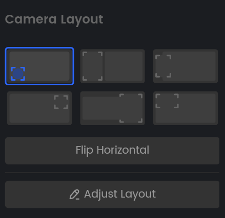 Camera Layout Options