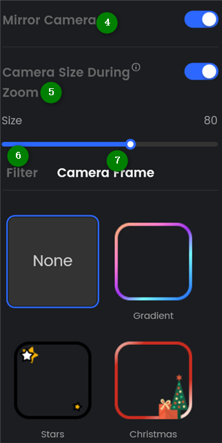 Other Webcam Settings