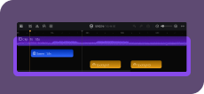 Edit the Recording