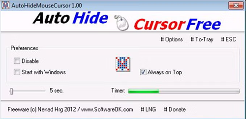Auto Hide Cursor