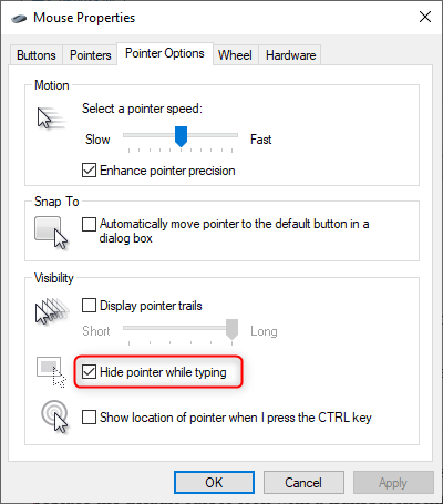 Hide Pointer while Typing