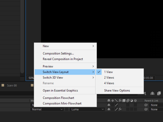 2 Views - Horizontal
