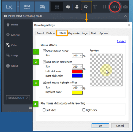 Choose the Screen Recording settings
