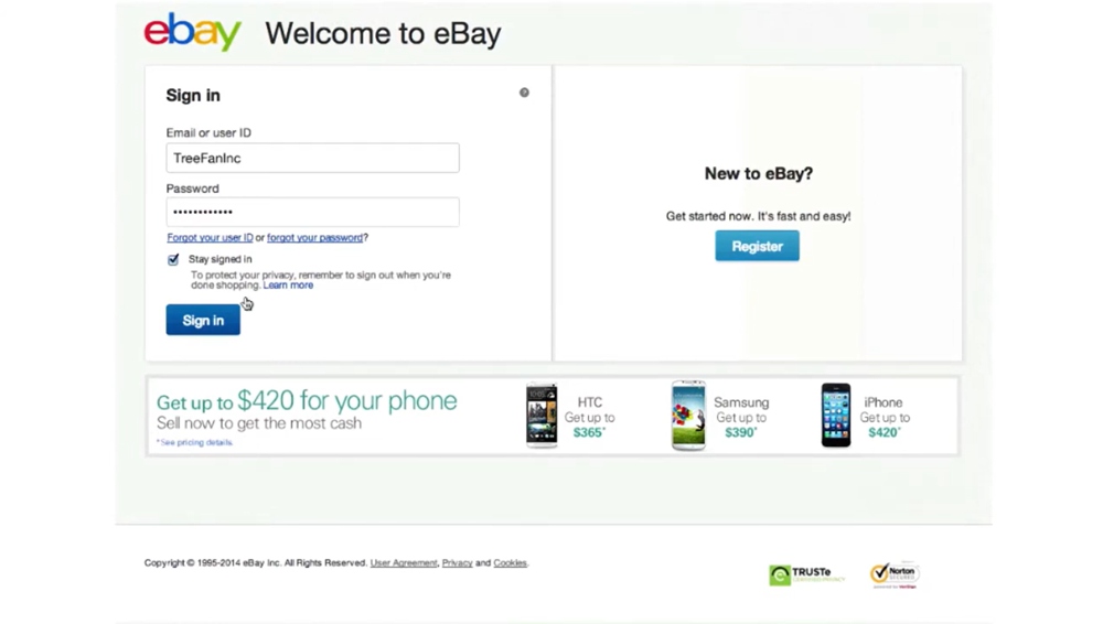 eBay Demo Video