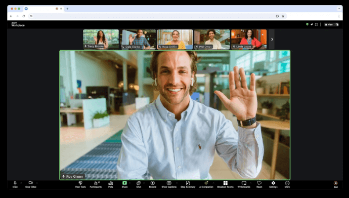 Zoom Interface